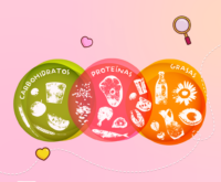 Carbohidratos, proteínas y grasas